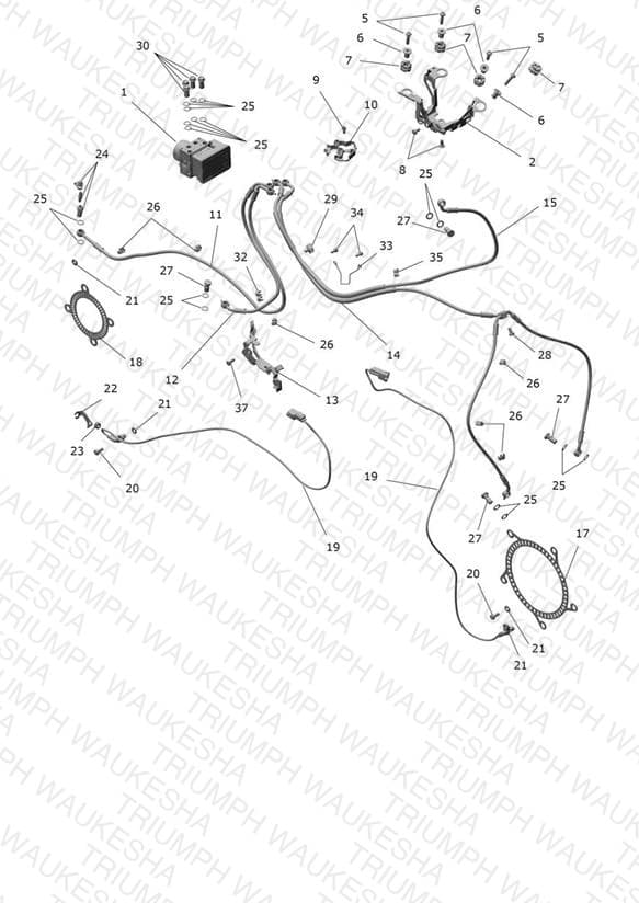 Assembly schematic