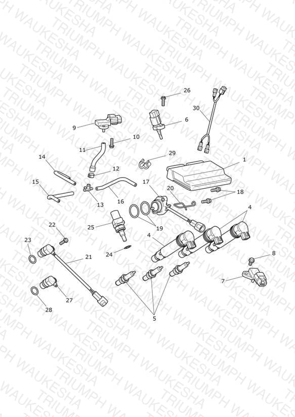 Assembly schematic