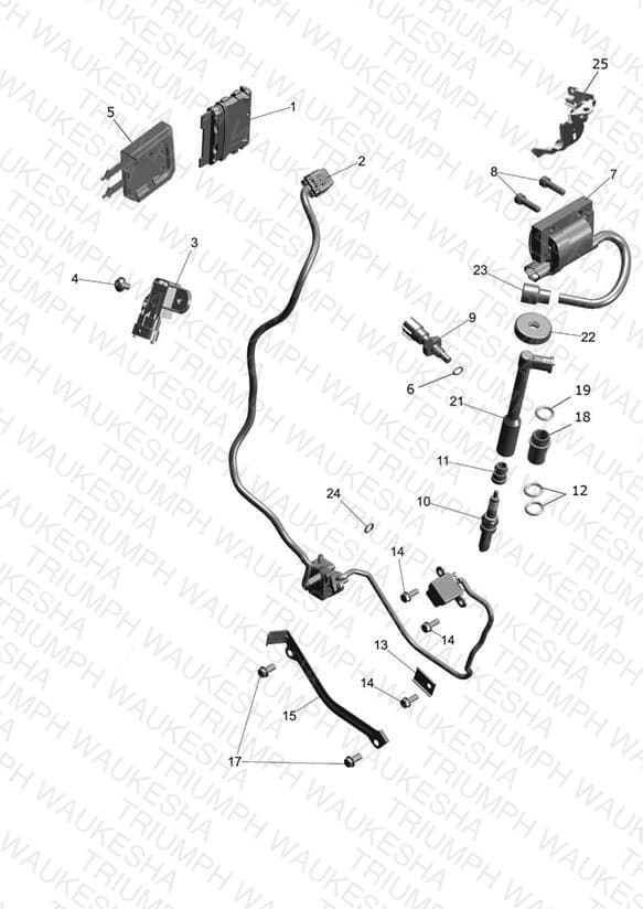Assembly schematic
