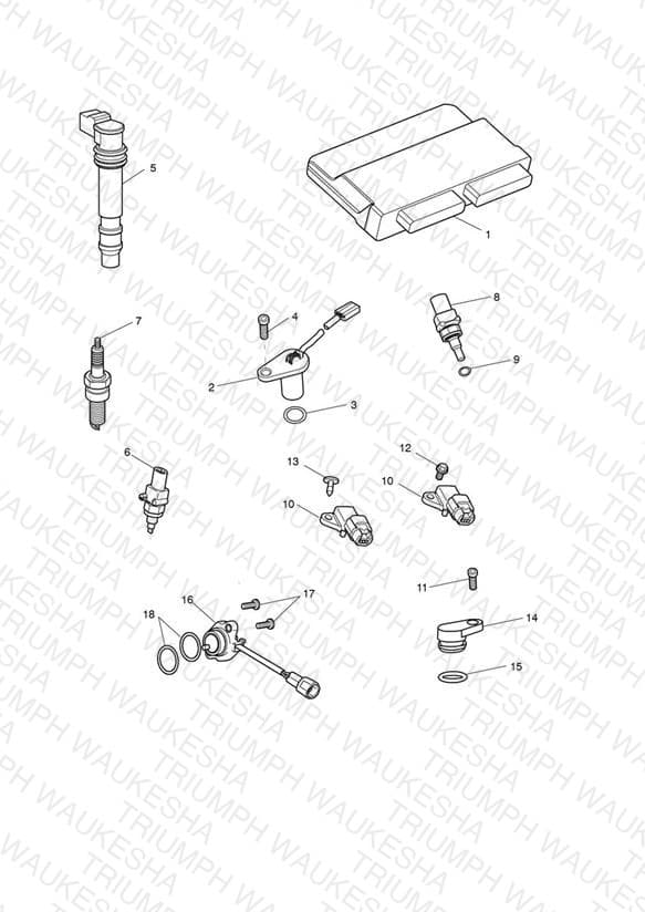 Assembly schematic