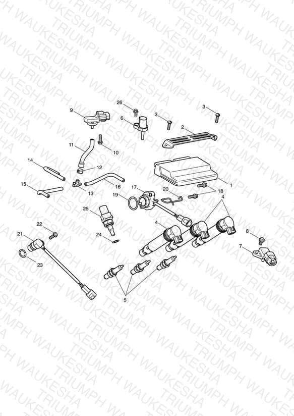 Assembly schematic