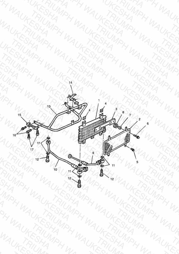 Assembly schematic