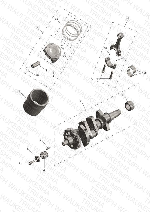 Assembly schematic