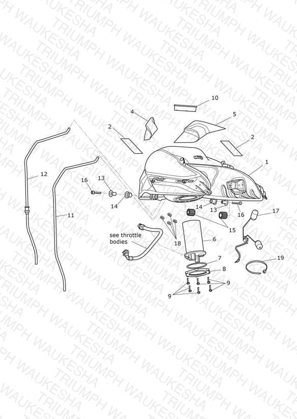 Assembly schematic
