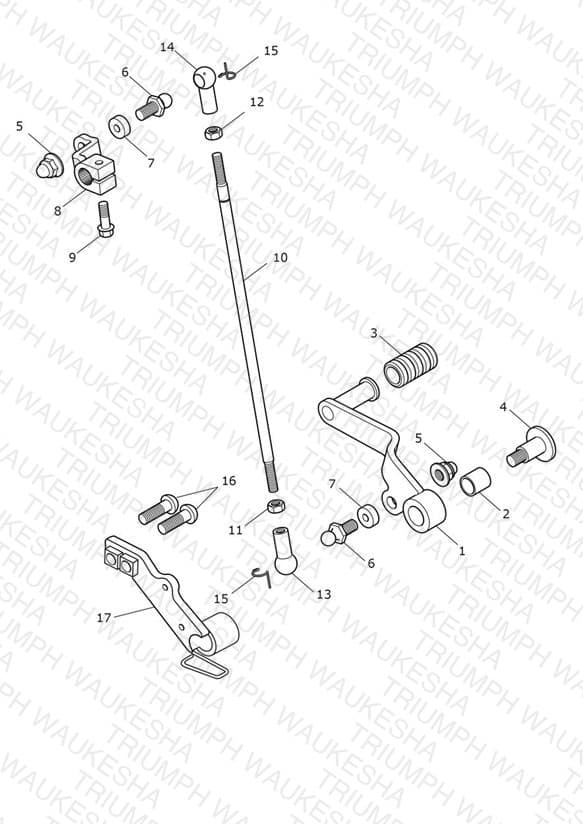 Assembly schematic