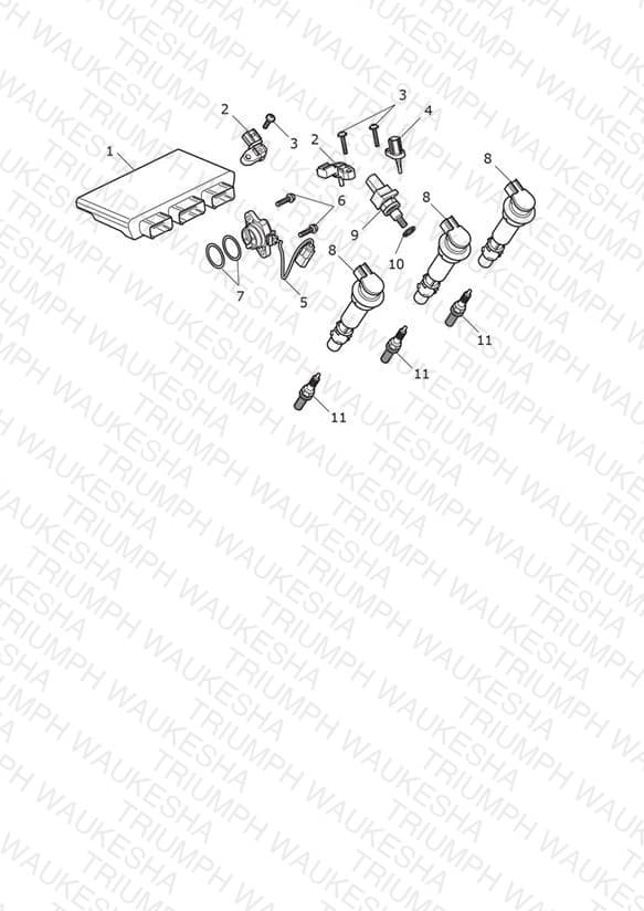 Assembly schematic