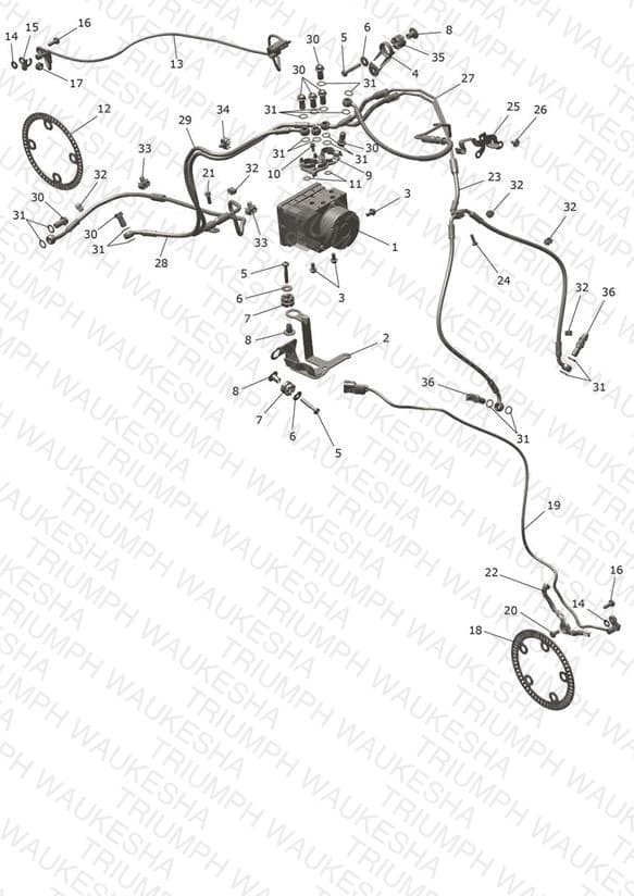 Assembly schematic