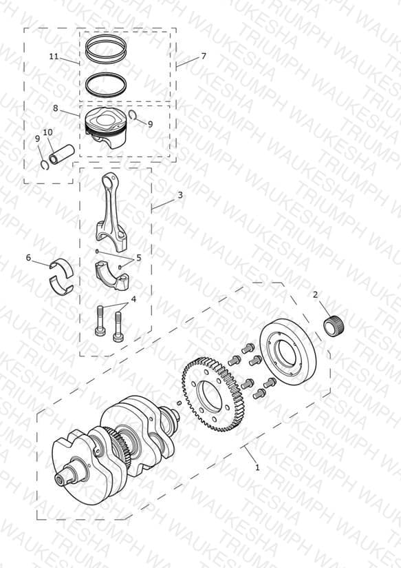 Assembly schematic