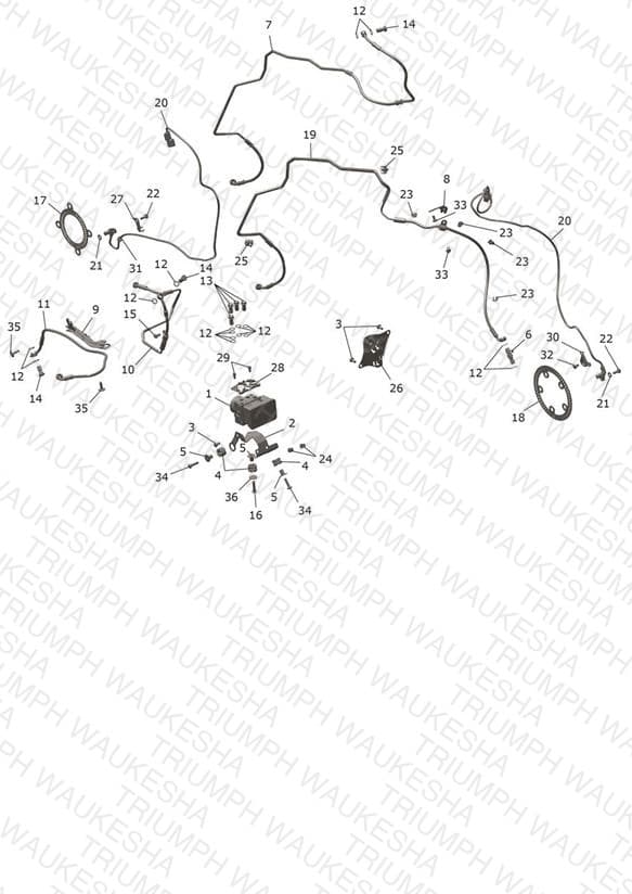Assembly schematic