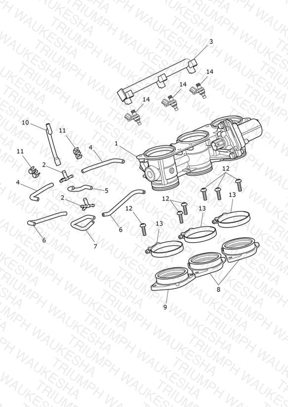 Assembly schematic