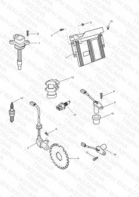 Assembly schematic