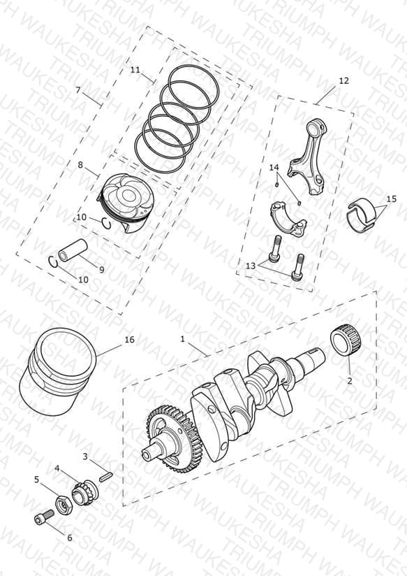 Assembly schematic
