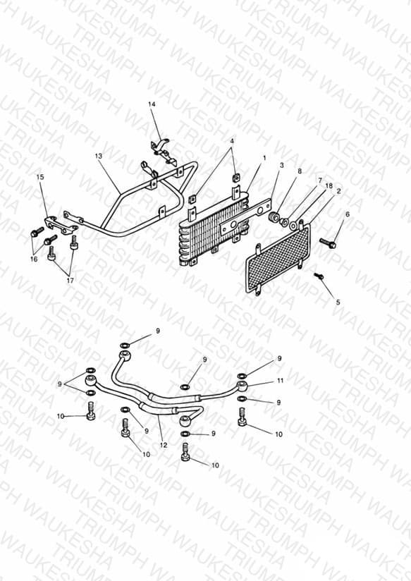 Assembly schematic