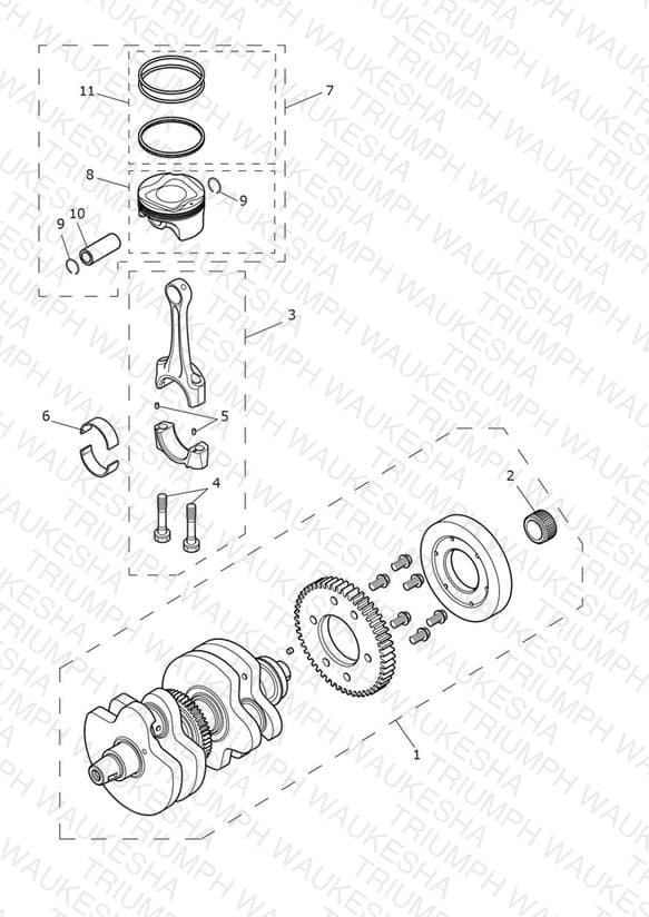 Assembly schematic