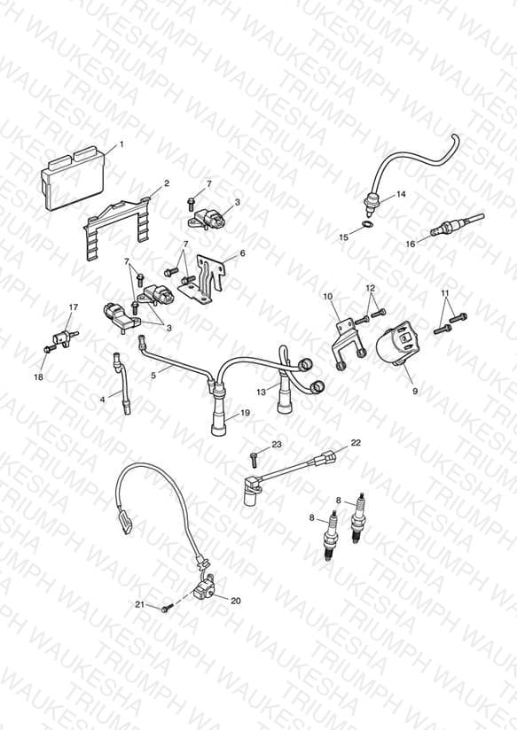 Assembly schematic