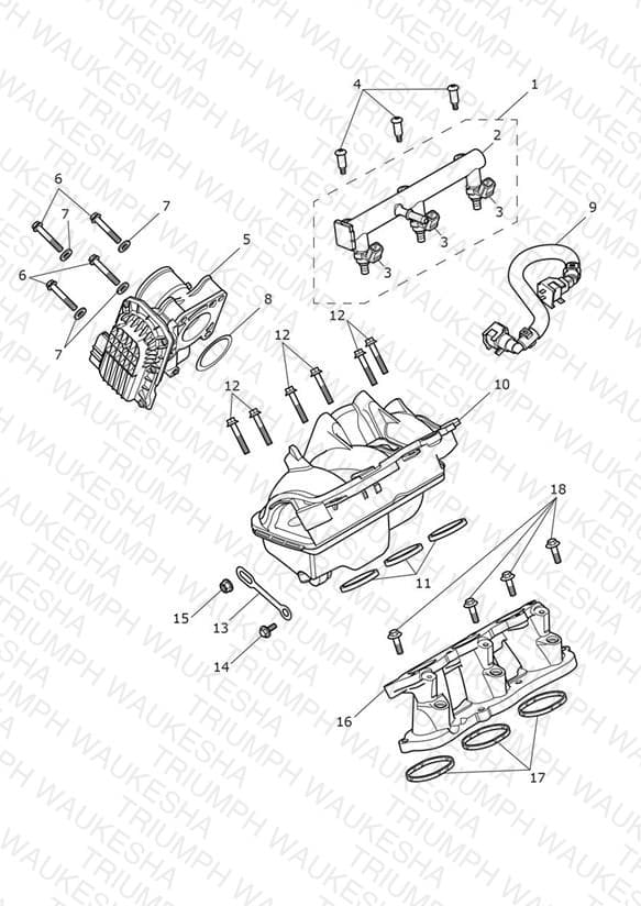 Assembly schematic