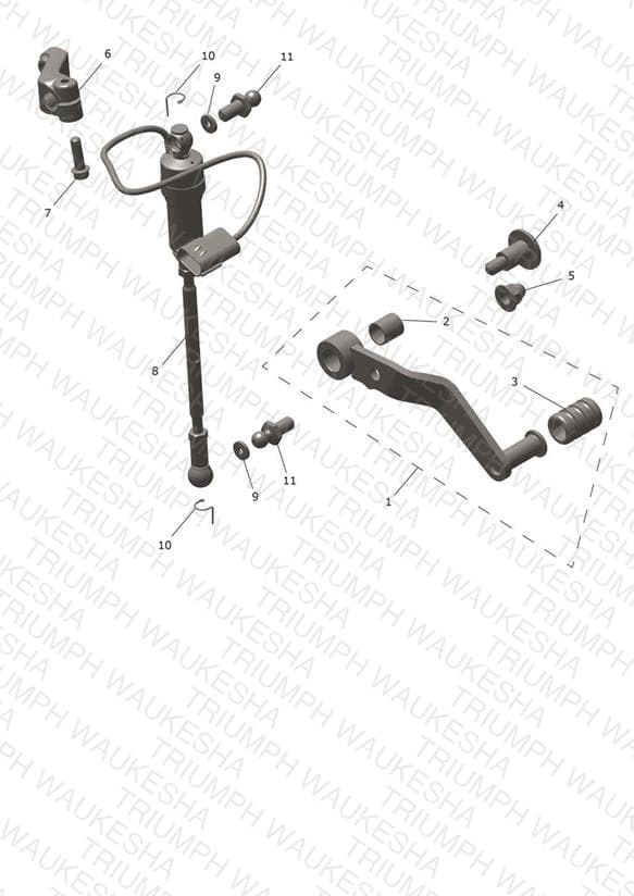 Assembly schematic
