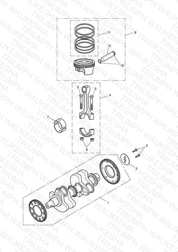 Assembly schematic