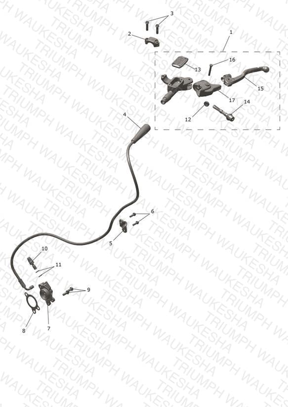 Assembly schematic