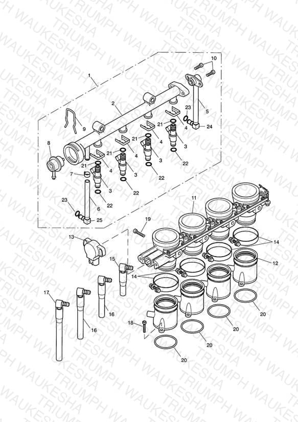 Assembly schematic
