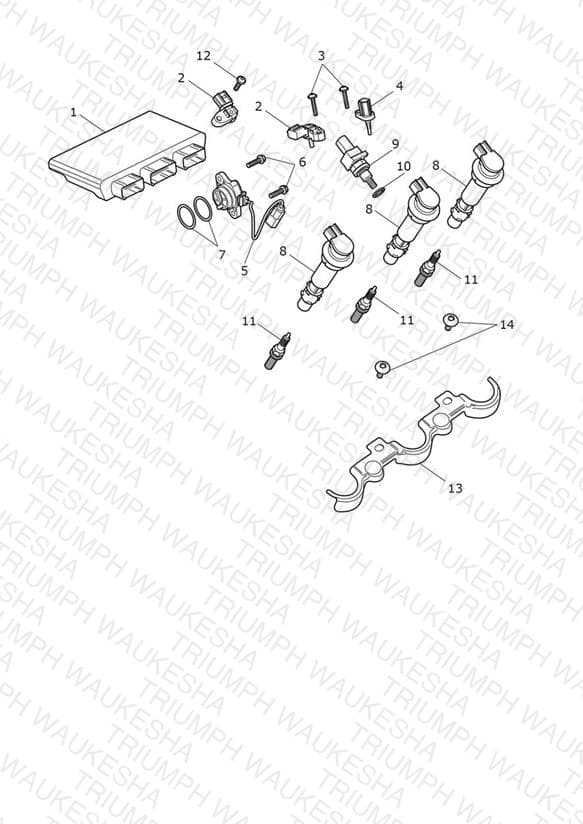 Assembly schematic