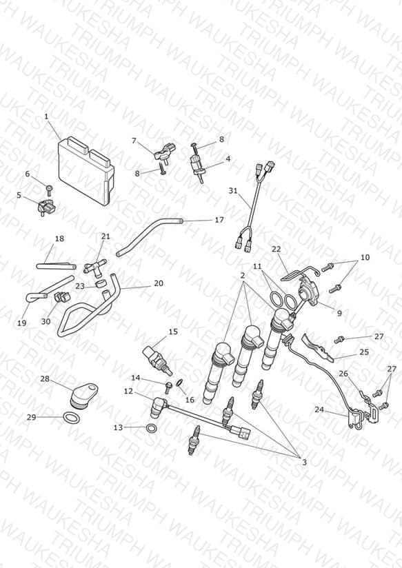 Assembly schematic