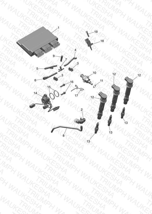 Assembly schematic