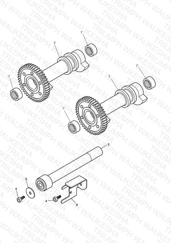Assembly schematic