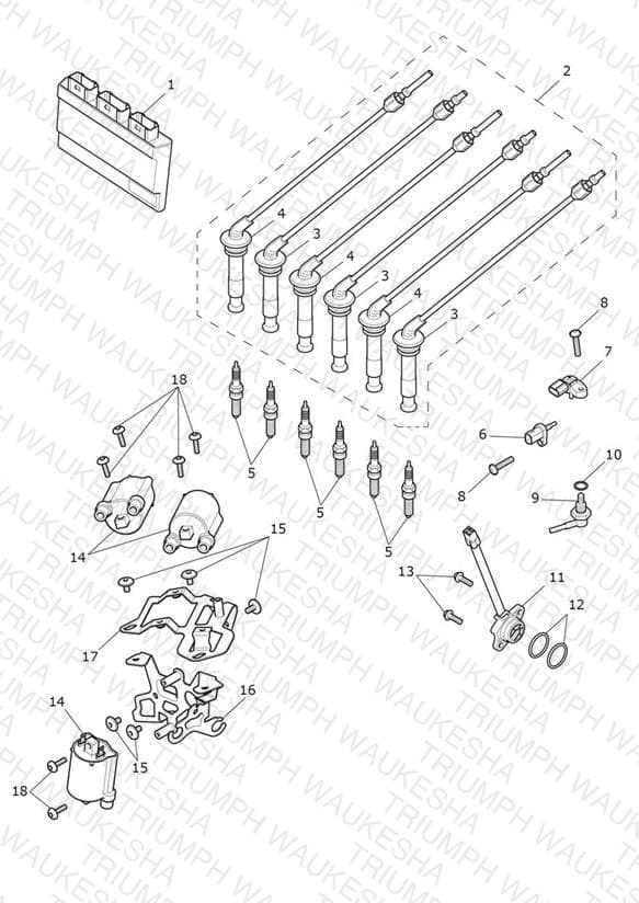 Assembly schematic