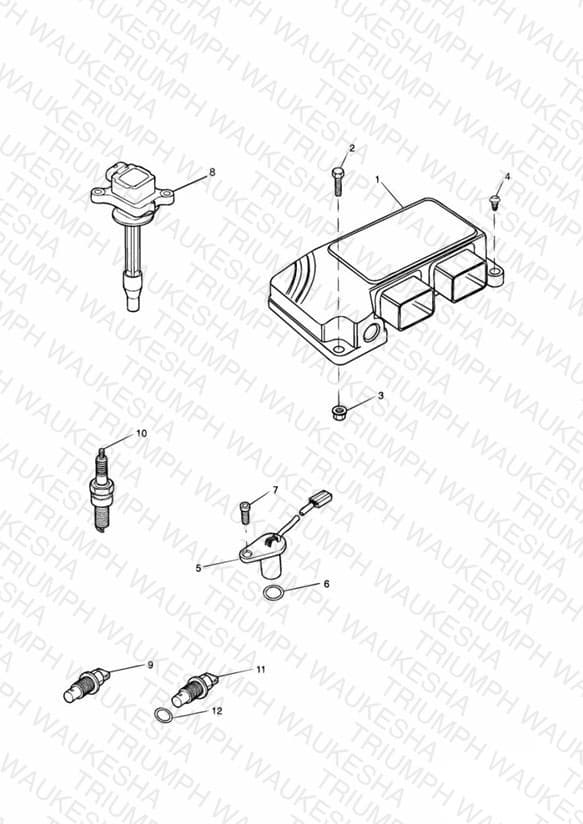 Assembly schematic