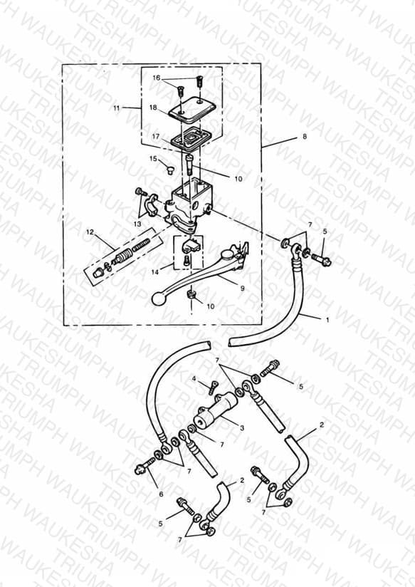 Assembly schematic