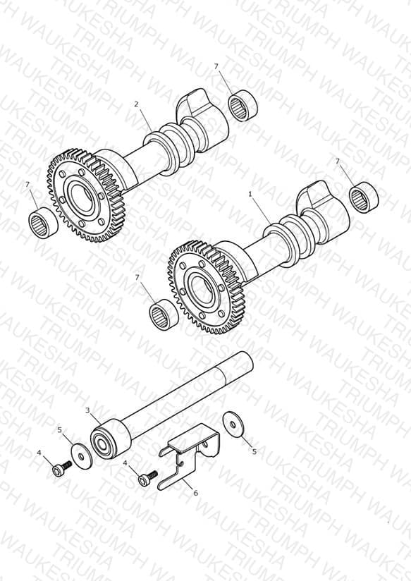 Assembly schematic