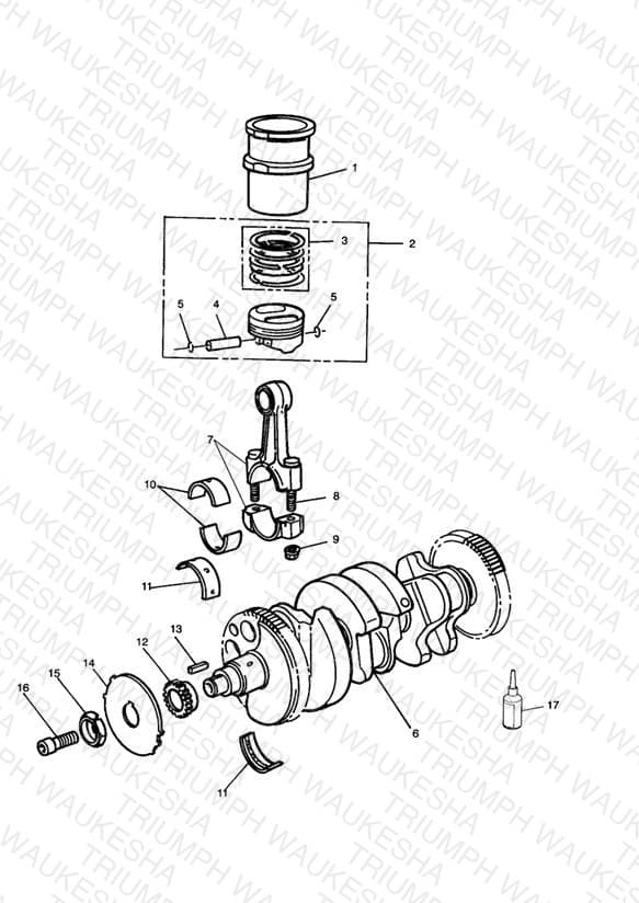 Assembly schematic