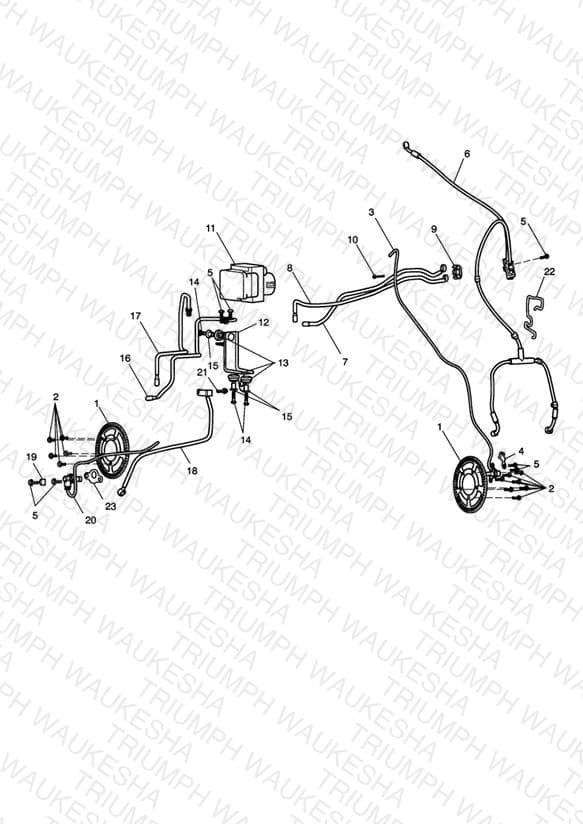 Assembly schematic
