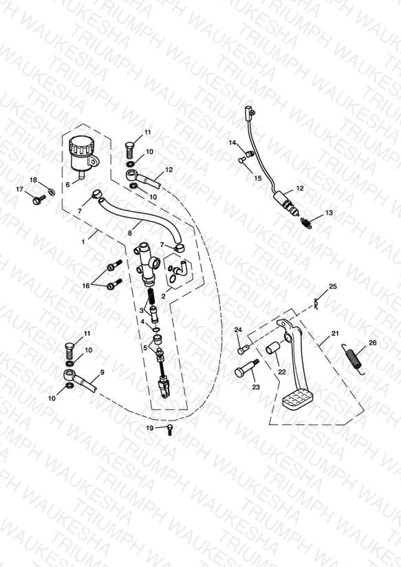 Assembly schematic