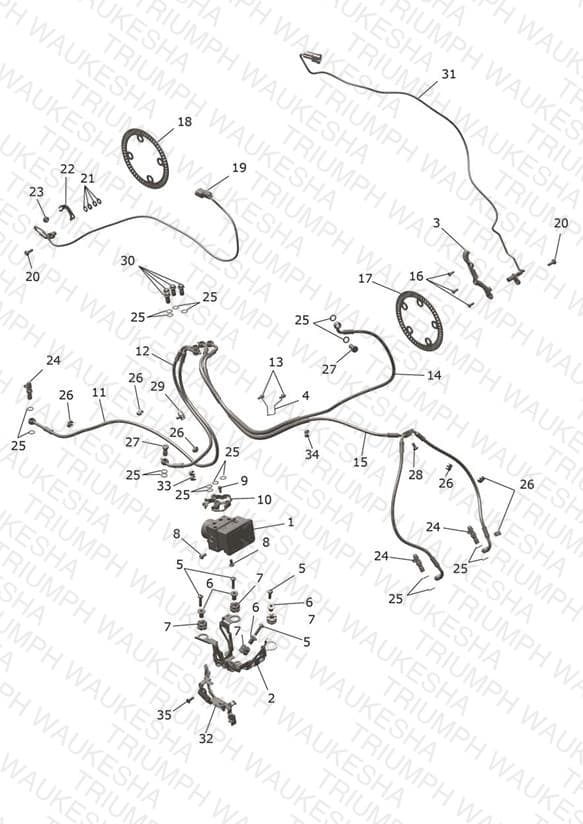 Assembly schematic
