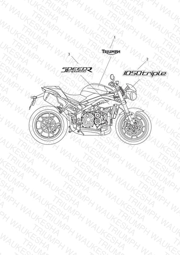 Assembly schematic