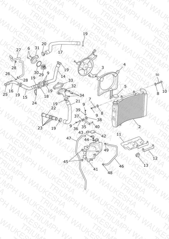 Assembly schematic