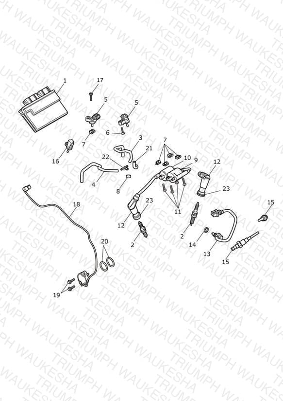 Assembly schematic