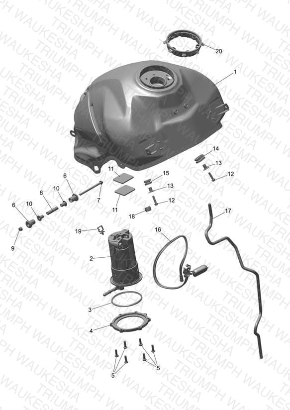 Assembly schematic