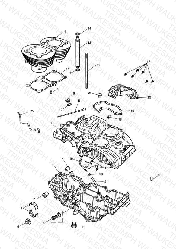 Assembly schematic