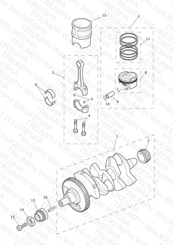 Assembly schematic