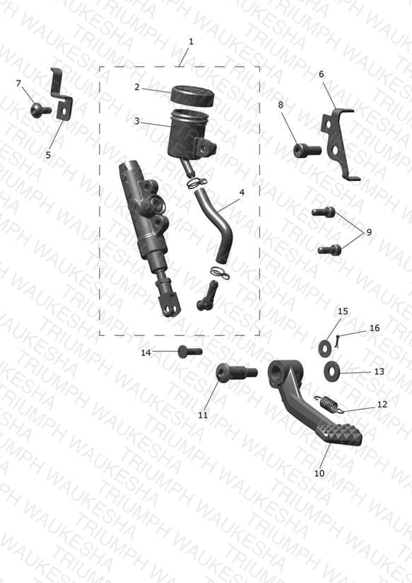 Assembly schematic