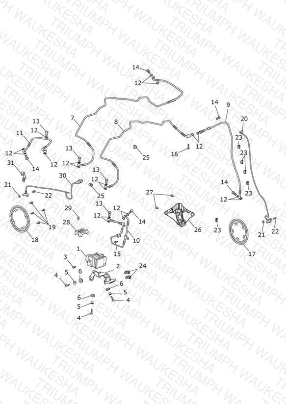 Assembly schematic