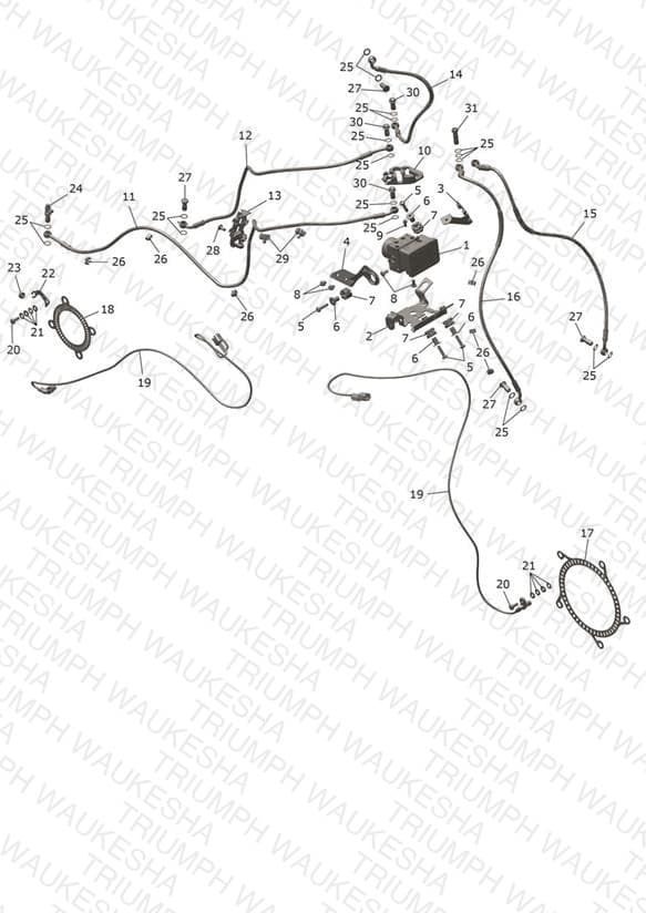Assembly schematic