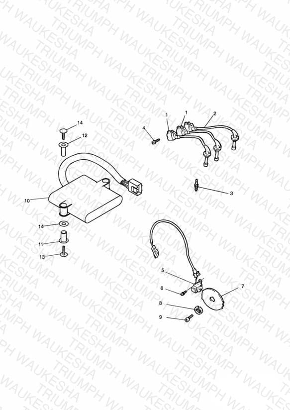 Assembly schematic