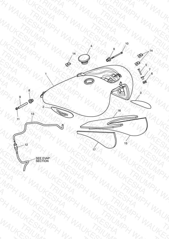 Assembly schematic